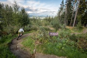 YT Decoy MX CORE 4 2022 im Test