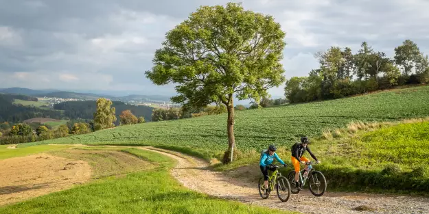 Herbst-Biken in und um Linz