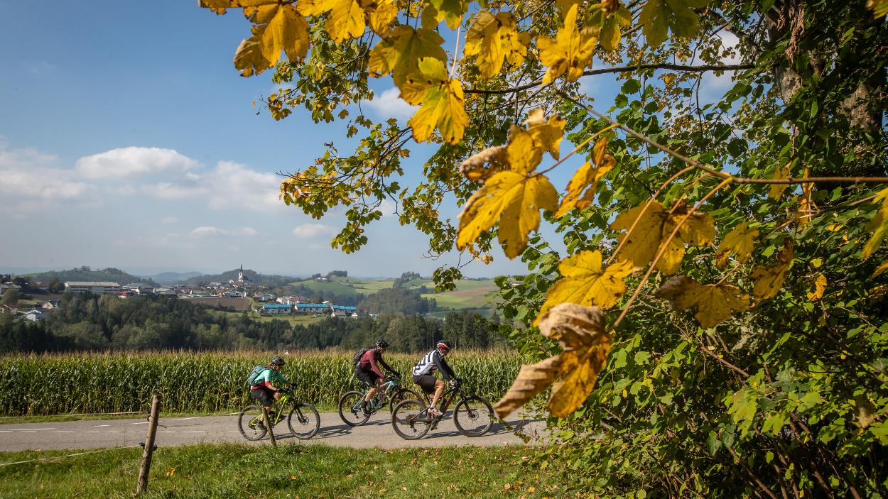 Herbst-Biken in und um Linz
