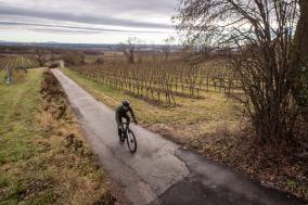 Scott Addict Gravel Tuned 2022