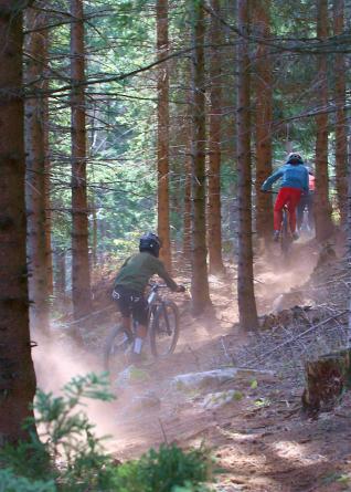 auf den neuen Trail.