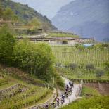 Bike Festival Garda Trentino 2022