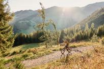 die Bergwelt um Flachau als Tourengebiet.