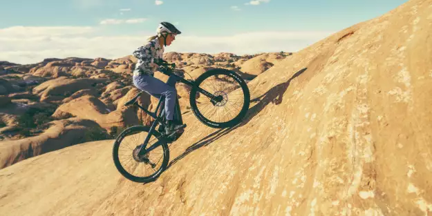 Cannondale Moterra Neo & Neo LT