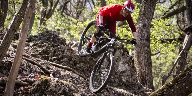 Rocky Mountain Altitude Powerplay Carbon 70 im Test