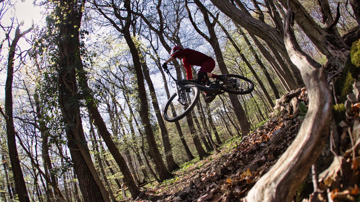 Rocky Mountain Altitude Powerplay Carbon 70 im Test