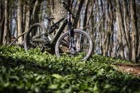 Rocky Mountain Altitude Powerplay Carbon 70 im Test