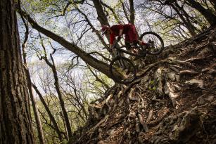 Rocky Mountain Altitude Powerplay Carbon 70 im Test