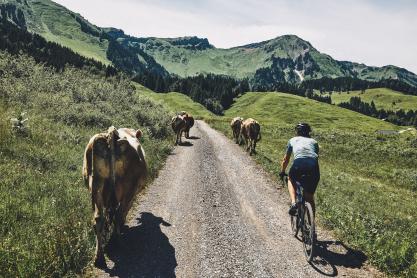 Into the Wold: Genuss Gravel