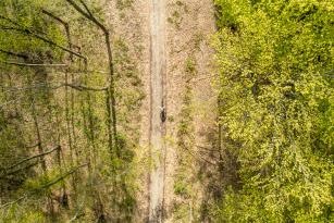 Rocky Mountain Element Carbon 70 im Test