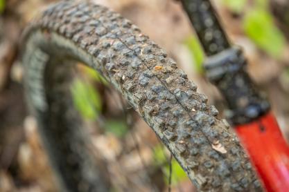 Rocky Mountain Element Carbon 70 im Test
