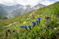 27. Ischgl Ironbike 2022