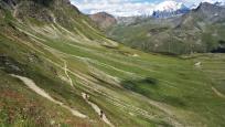 Ortler Alpine Super Trails