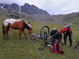Ortler Alpine Super Trails