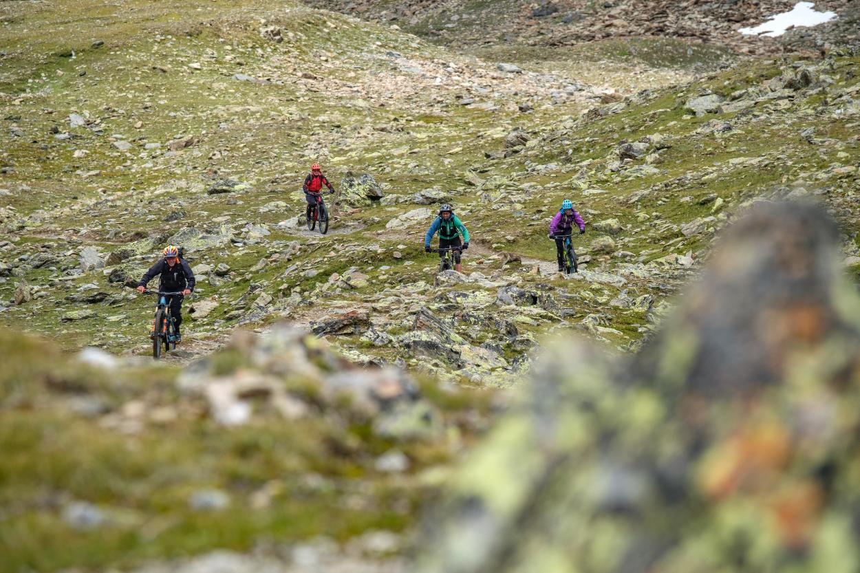Ortler Alpine Super Trails