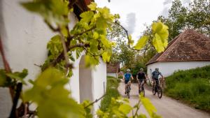 Rückkehr: Genuss-Radtouren im Weinviertel