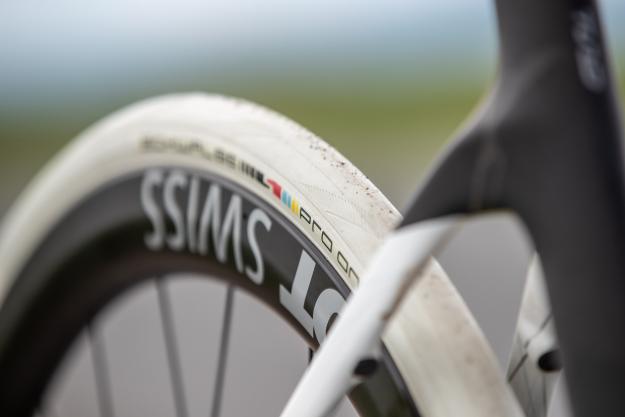 Schwalbe Pro One x Spartacus TLE Reifen
