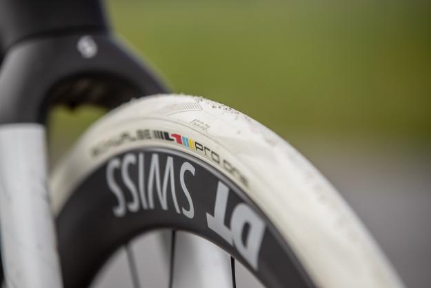 Schwalbe Pro One x Spartacus TLE Reifen