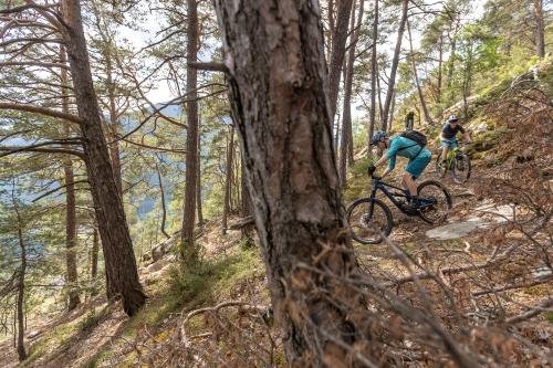 Brixen Trails - Mountainbiken in Südtirol