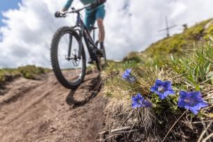 Brixen Trails - Mountainbiken in Südtirol