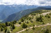 Brixen Trails - Mountainbiken in Südtirol