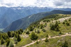 Brixen Trails - Mountainbiken in Südtirol