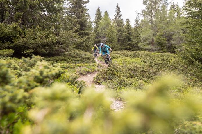 Brixen Trails - Mountainbiken in Südtirol