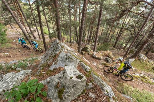 Brixen Trails - Mountainbiken in Südtirol