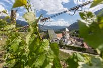 Brixen Trails - Mountainbiken in Südtirol