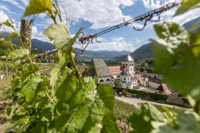 Brixen Trails - Mountainbiken in Südtirol