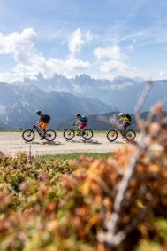 Brixen Trails - Mountainbiken in Südtirol