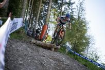 Max Foidl
