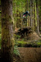 Cam McCaul
