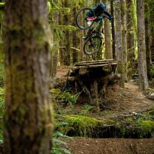 Cam McCaul