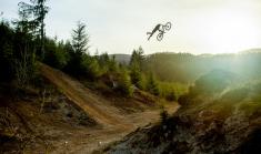 Cam McCaul
