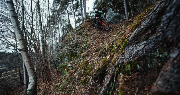 Brage Vestavik