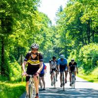 Bildbericht In Velo Veritas 2022