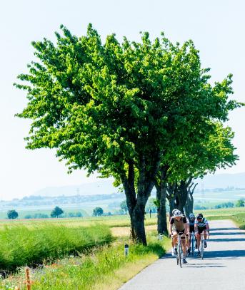 Bildbericht In Velo Veritas 2022