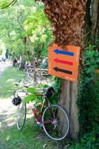 Bildbericht In Velo Veritas 2022