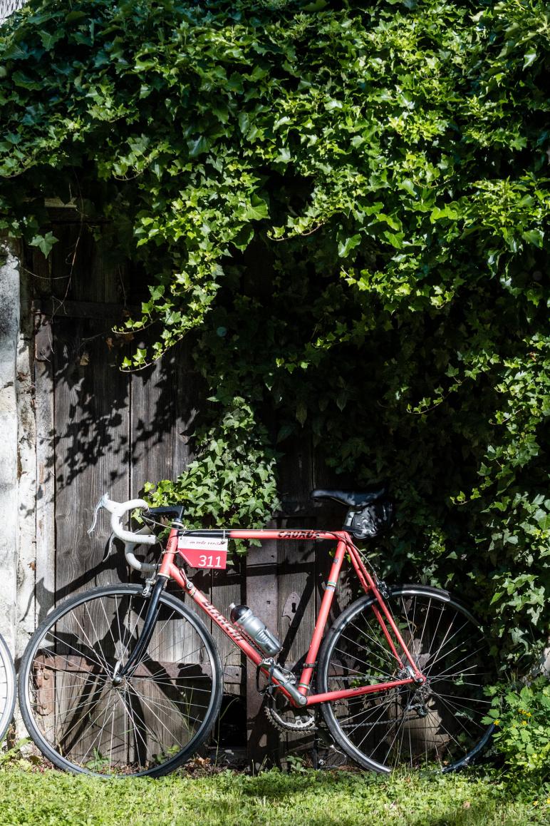 Bildbericht In Velo Veritas 2022