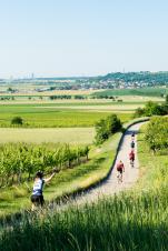 Bildbericht In Velo Veritas 2022