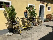 Bildbericht In Velo Veritas 2022