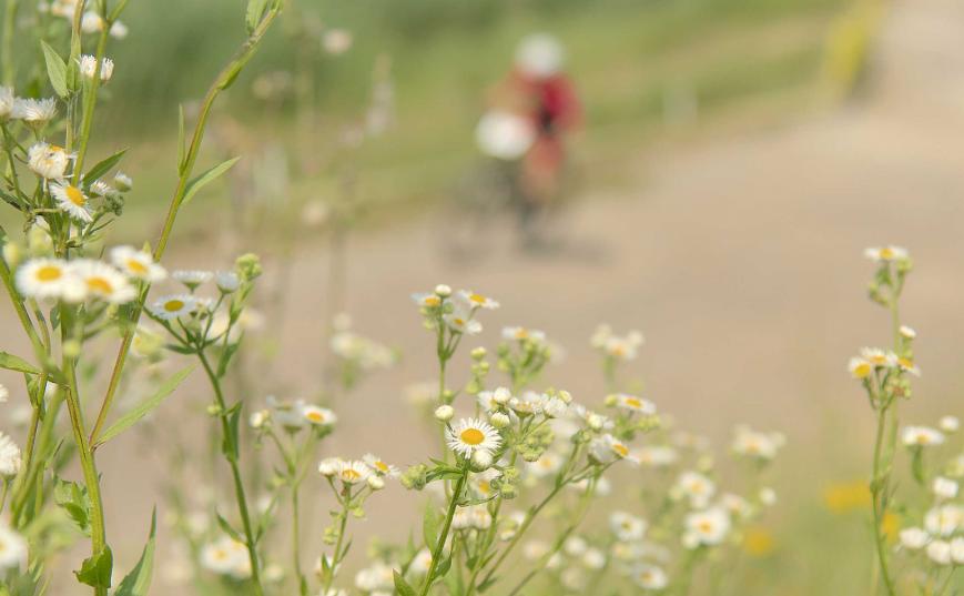 Bildbericht Grazer Bike-Opening Stattegg 2022