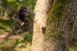 Conway Xyron S 8.9 Carbon im Test