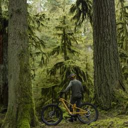 Showroom: Trek Fuel EXe
