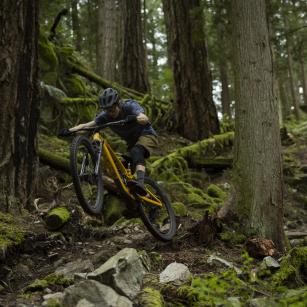 Showroom: Trek Fuel EXe