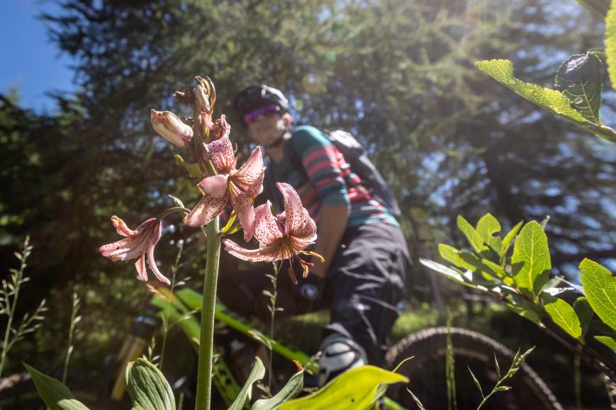 3-Länder Enduro Trails um Nauders und Reschenpass