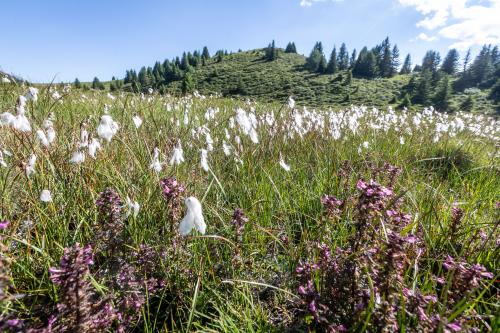 3-Länder Enduro Trails um Nauders und Reschenpass
