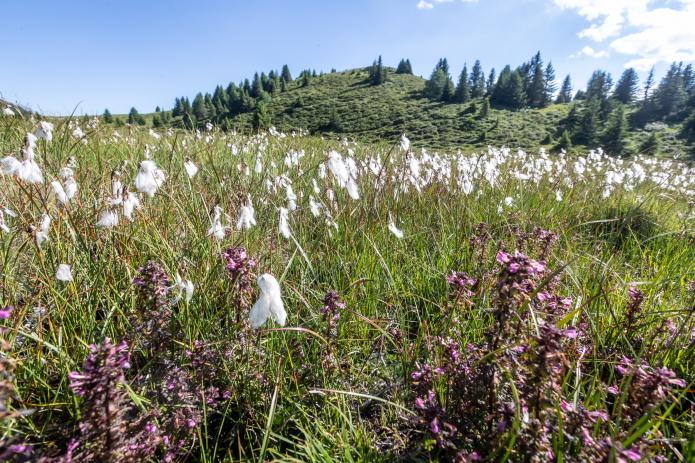 3-Länder Enduro Trails um Nauders und Reschenpass