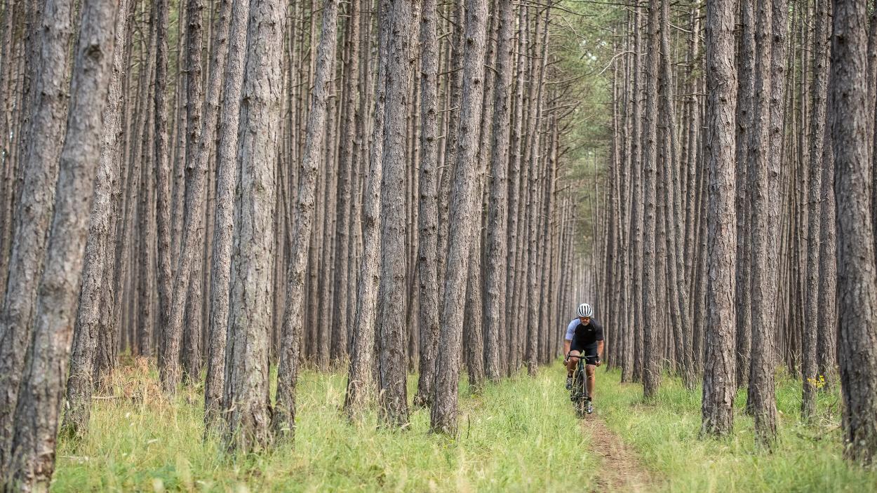 Specialized Turbo Creo SL Evo Expert im Test